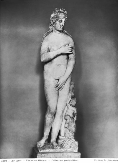 Venus con Eros montando un delfín de Roman